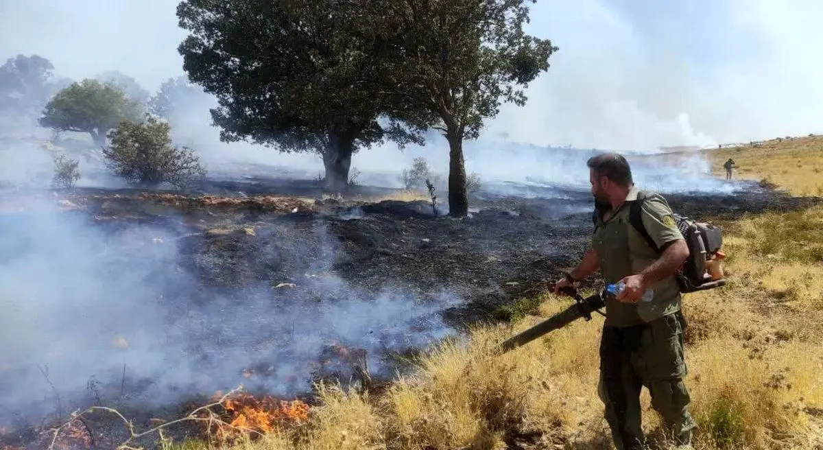 آتش سوزی مراتع جنگلی بخش گواور گیلانغرب را فرا گرفت