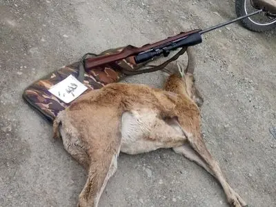 کشف اسلحه و لاشه قوچ وحشی از شکارچیان غیرمجاز در منطقه حفاظت شده ورجین شمیرانات