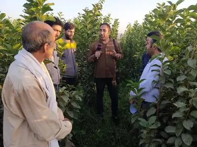 رادیو قزوین با «روستایی شو» فرهنگ روستاها را روی آنتن می‌برد