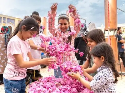 برای گلاب گیری کاشان به اراضی عباس‌آباد بیایید