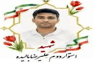 شهادت «استوار دوم علیرضا بالیده» فرزند خراسان جنوبی در بوشهر