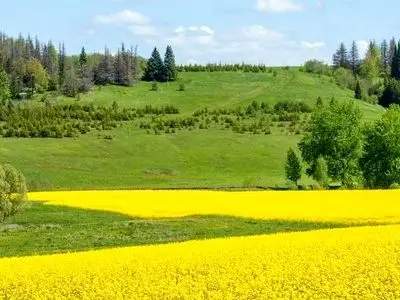 افزایش نسبی دمای هوا در روز‌های آینده