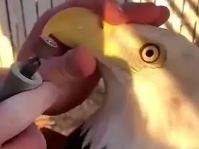 asdasd
