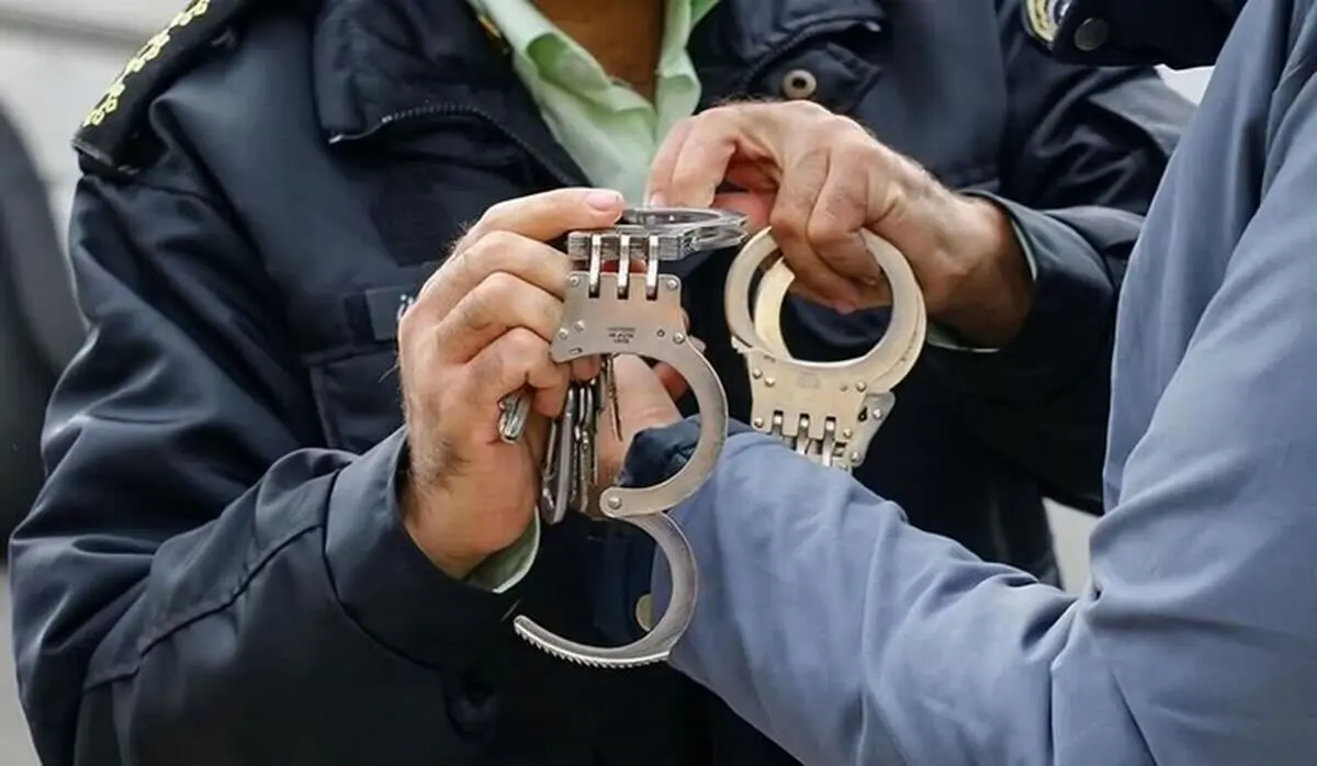 ۳حفار غیرمجاز میراث‌فرهنگی در شهرستان گرمی دستگیر شدند