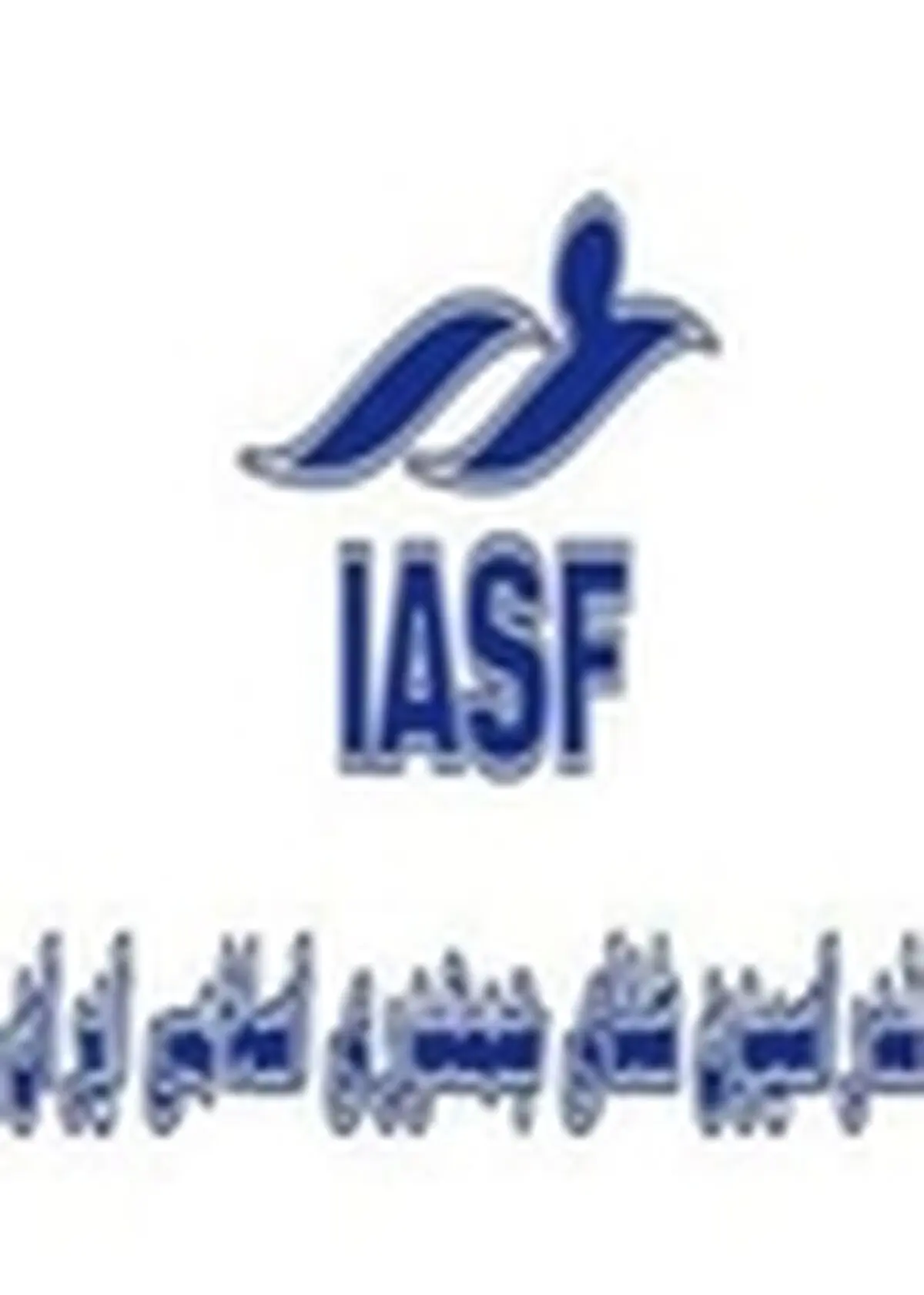 باغستانی برای ۴ سال دیگر رئیس هیات شنای یزد شد