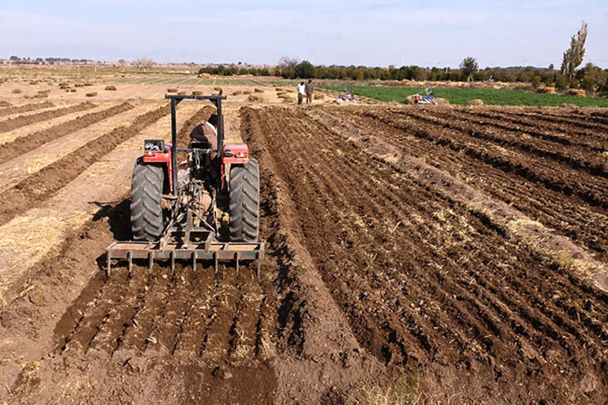 ضرورت تغییر الگوی کشت برای عبور از بحران کم‌آبی/ادامه روش‌های گذشته ممکن نیست