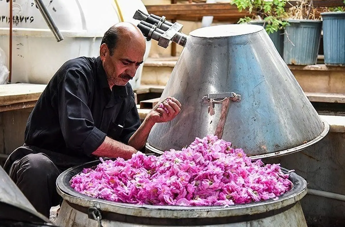 آغاز به‌کار اولین واحد گلاب‌گیری در شهرستان جوین خراسان‌رضوی