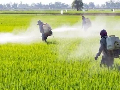 آغاز مبارزه با علف‌های هرز در مزارع مناطق گرمسیری کرمانشاه