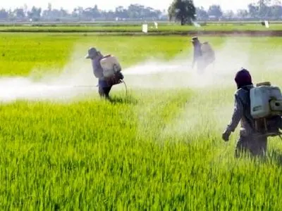 آغاز مبارزه با علف‌های هرز در مزارع مناطق گرمسیری کرمانشاه