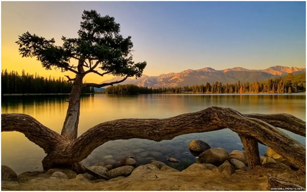 راهنمایی سفر به کیش