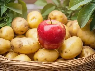چطور سیب از خراب شدن سیب زمینی جلوگیری می‌کند؟