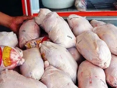 گلستان بخش زیادی از  گوشت مرغ تهران را تأمین می کند