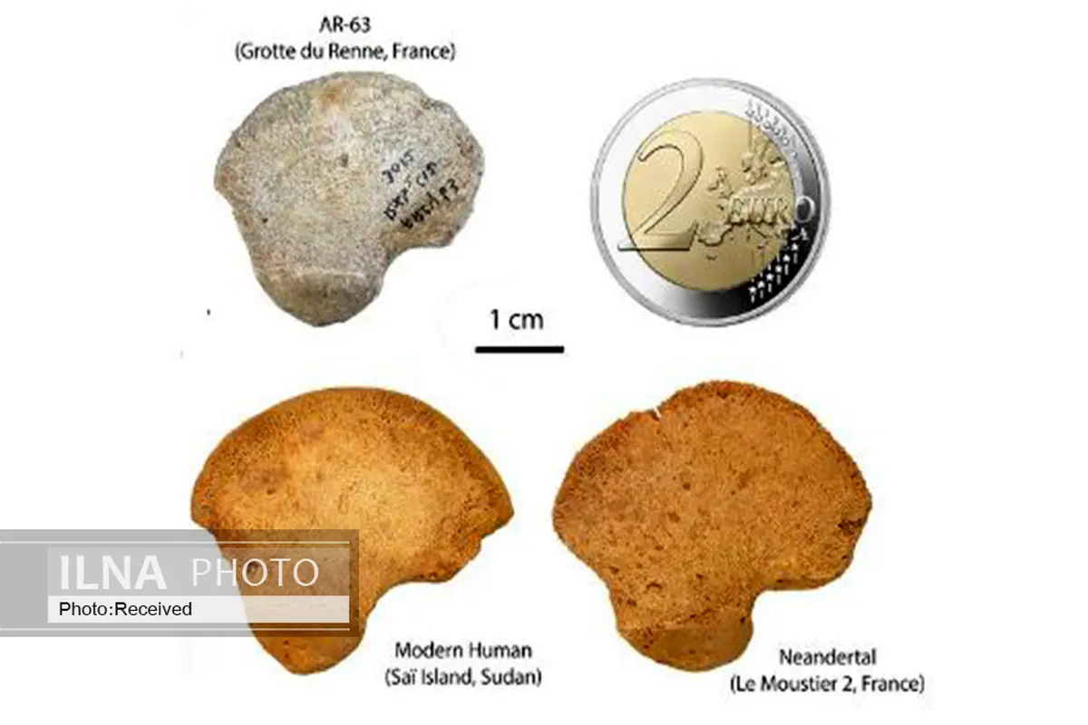 شناسایی استخوان‌هایی که نشان از هم‌زیستی نئاندرتال‌ها و انسان مدرن دارد