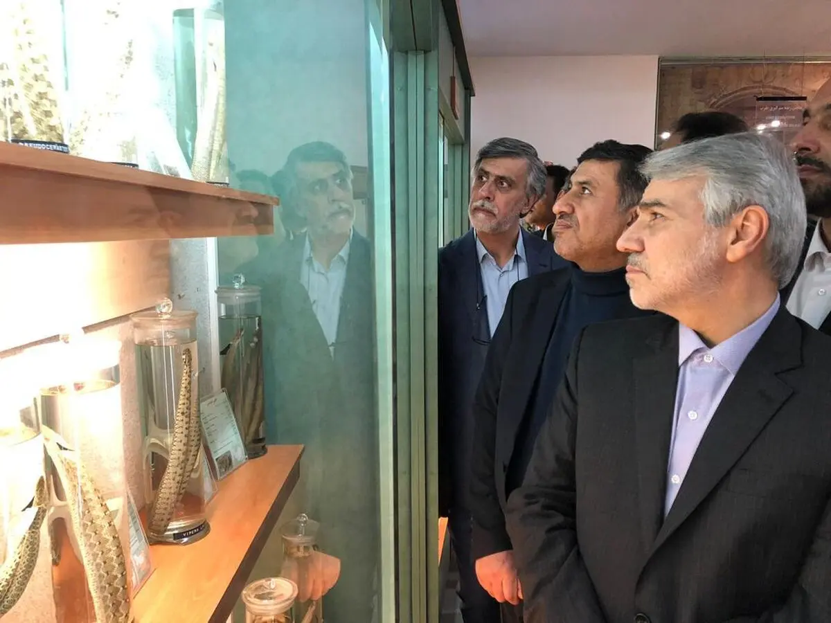 پشتیبانی اعتباری از البرز آثار مثبت اقتصادی ملی به همراه دارد