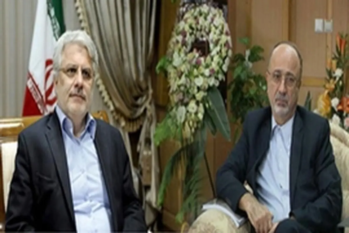 ضرورت سرمایه گذاری جدی در صنایع چوب و کاغذ ایران چوکا
