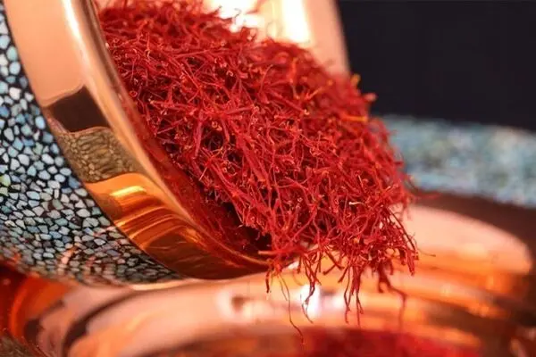 Tida – Your Reliable Source for Premium Iranian Saffron Varieties