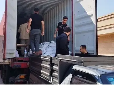 پیش‌بینی برداشت ۱۸۰۰۰ تن شلتوک از شالیزارهای قزوین