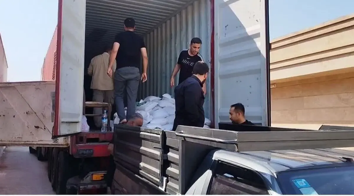 پیش‌بینی برداشت ۱۸۰۰۰ تن شلتوک از شالیزارهای قزوین