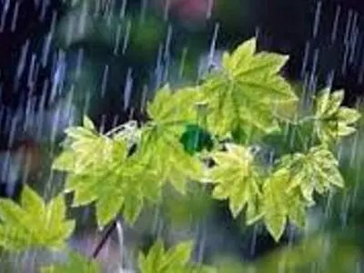آسمان مازندران ابری همراه با بارش باران