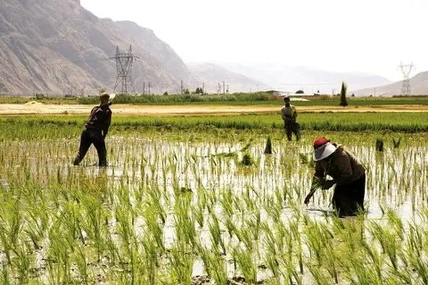 شیوه‌های سنتی در فارس جوابگو نیست/ فارس به عنوان پایلوت در بحث آمایش سرزمین ورود کند