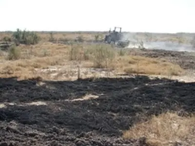 عاملان حریق عمدی تالاب حله استان بوشهر دستگیر شدند