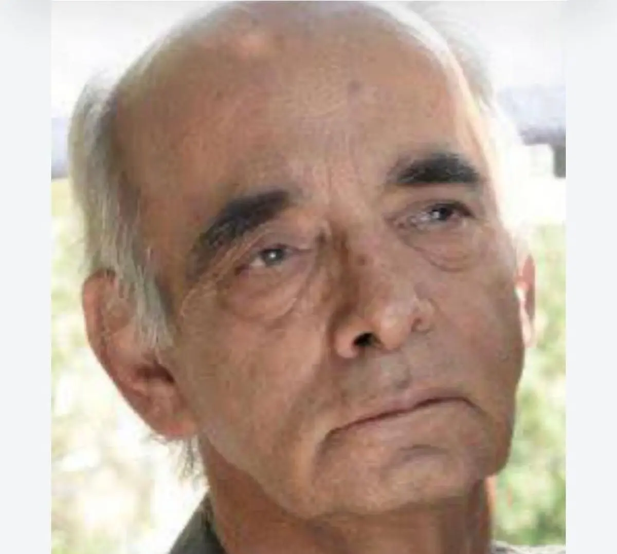 «داریوش عیاری» درگذشت
