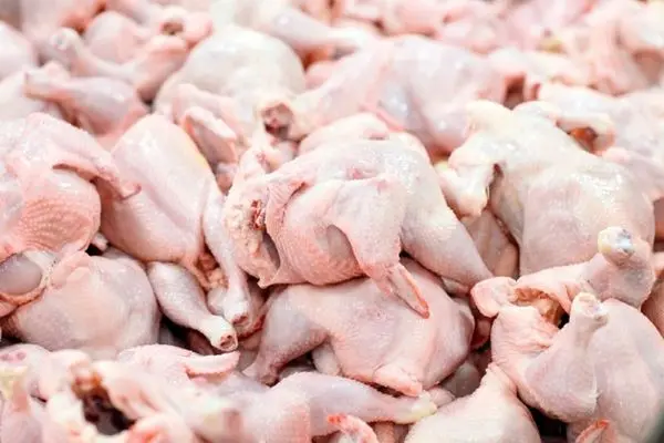 صادرات یک هزار تن گوشت مرغ ظرف دو ماه/ ابتلای سه نفر به تب کریمه کنگو