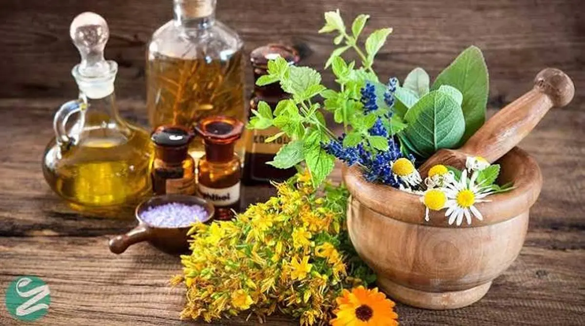 کدام روغن برای کدام درد بهتر است؟ + فیلم