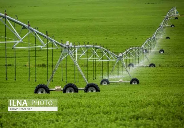 اجرای ۵۵۸ هکتار سامانه نوین آبیاری در اراضی کشاورزی قزوین