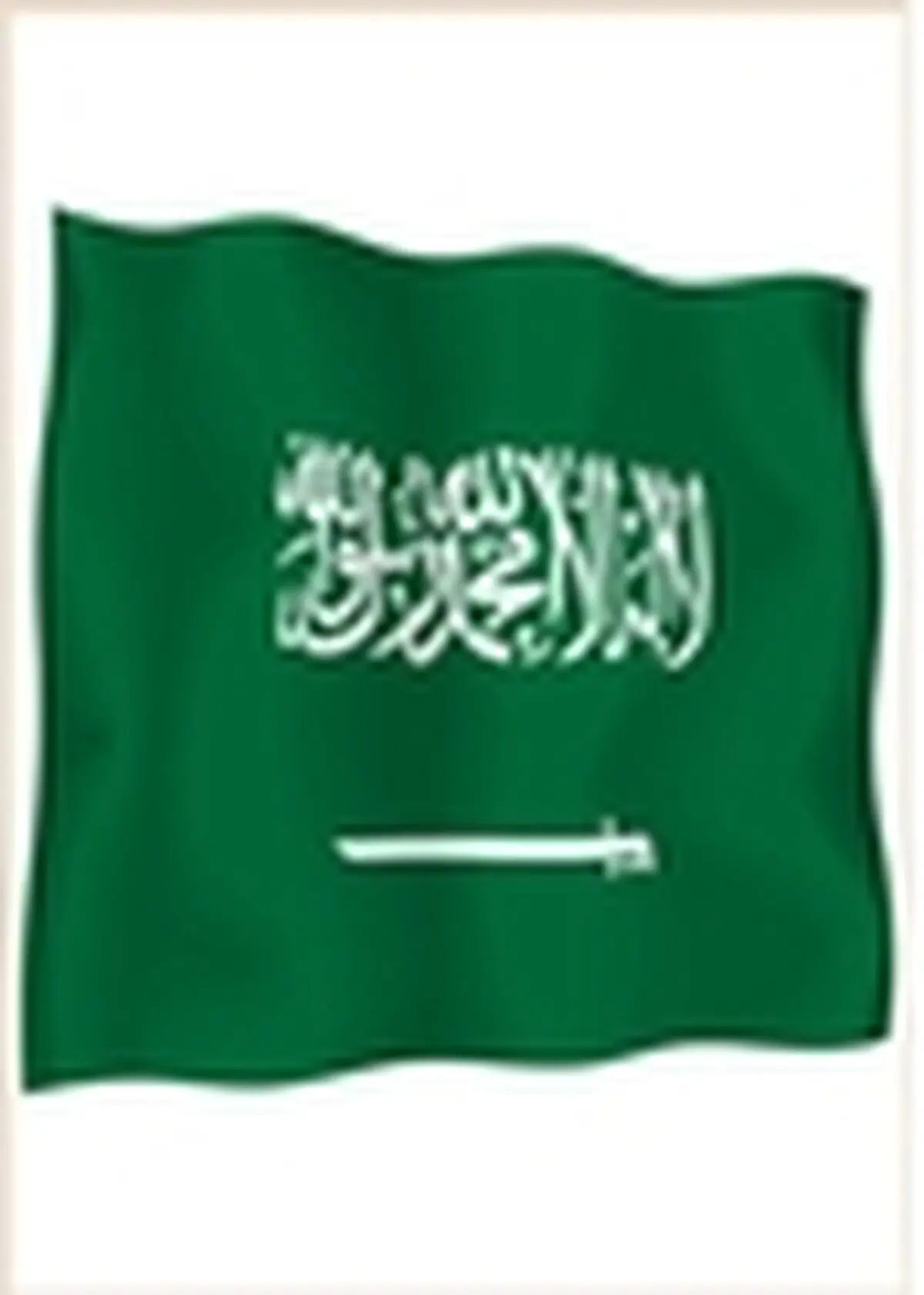 عربستان صاحب بیشترین سرمایه دار در دنیا