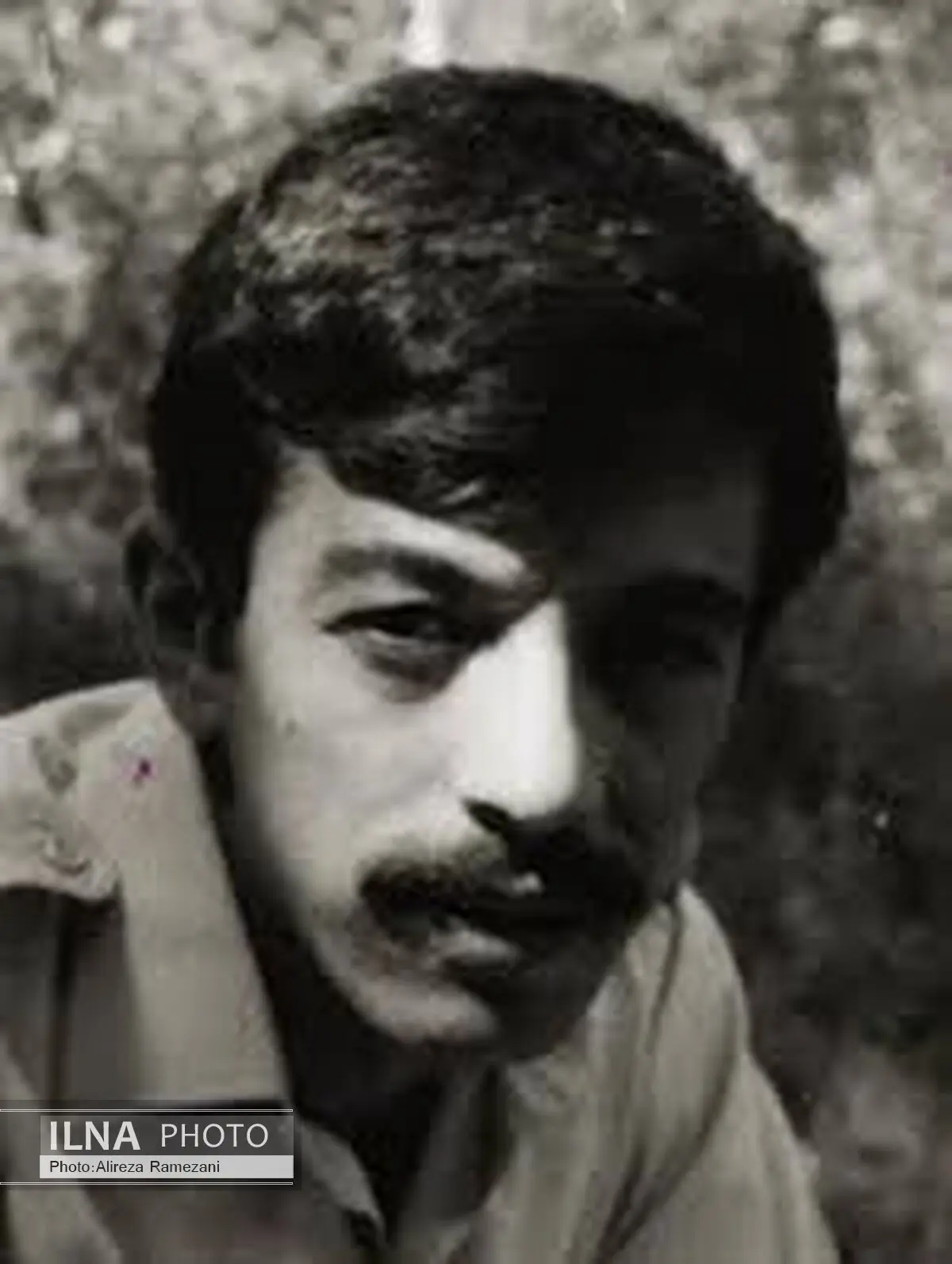 محمود شجاعی درگذشت