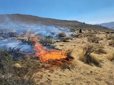 مهار ۹۸ درصد آتش‌سوزی در مراتع لار پای قله دماوند؛ سهل‌انگاری گردشگران عامل حادثه