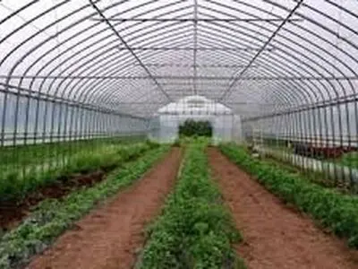 مجوز تاسیس گلخانه برای ایجاد اشتغال است نه سوداگری عده ای قانون شکن