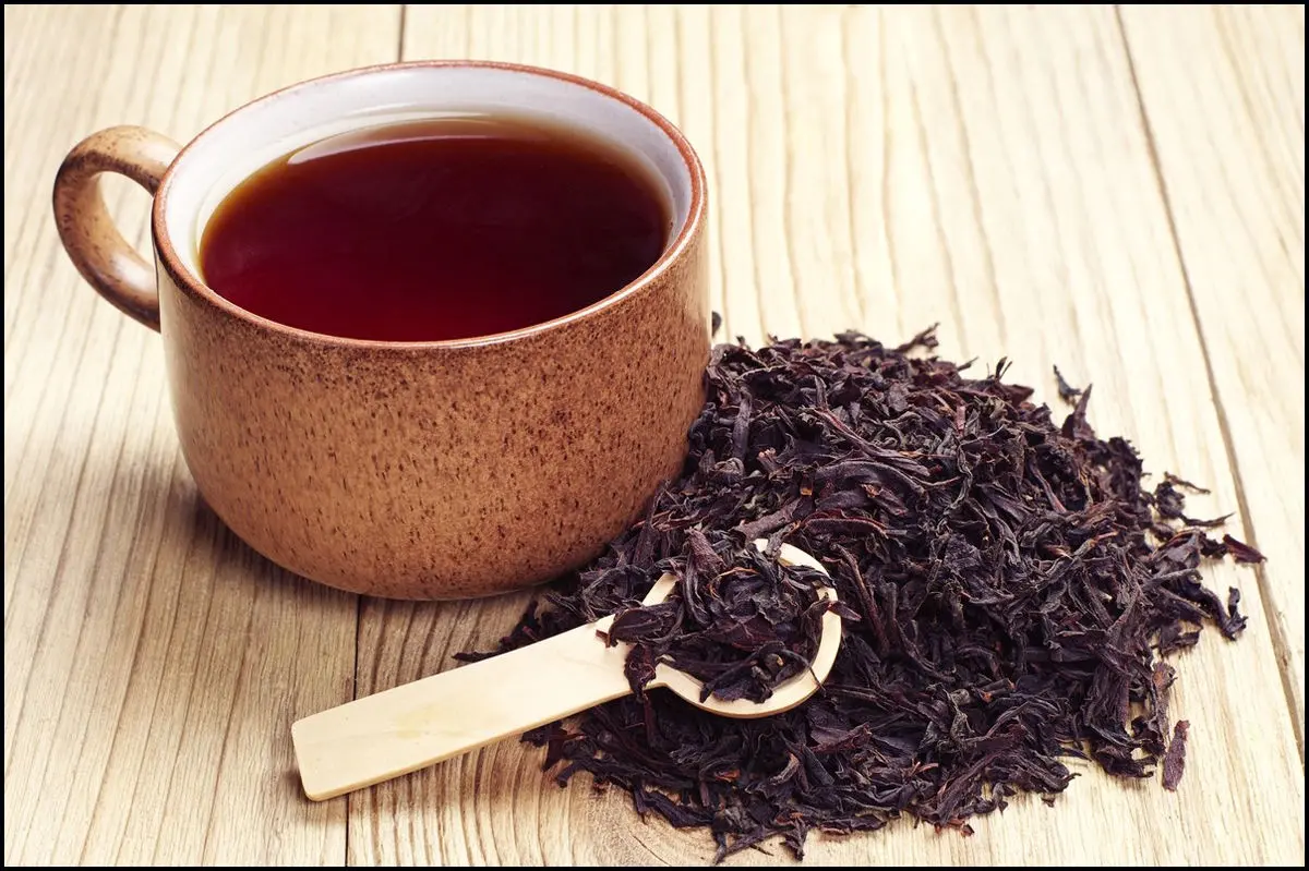 گرانی 30 درصدی چای سریلانکا به‌دلیل روش نادرست تهاتر چای با پول نفت/ تهاتر چای با سریلانکا خوب است اما نباید انحصاری شود/ عدم ثبت سفارش چای هندی و کنیایی!