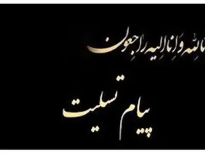 پیام تسلیت میدری در پی در گذشت سلیمی آشتیانی خیّر مدرسه سازی و سلامت