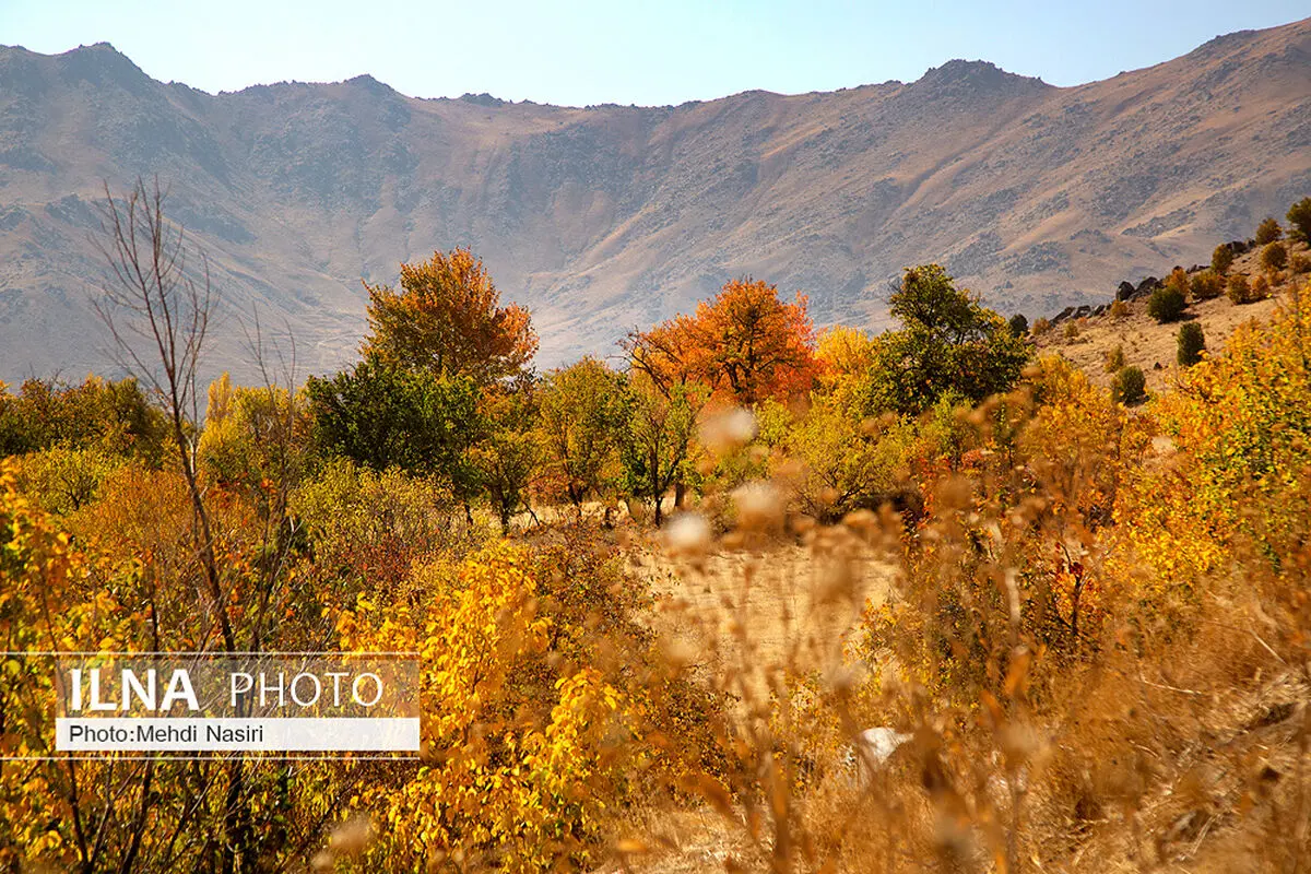 ویدئو/ طبیعت پاییزی روستای سرسختی علیا