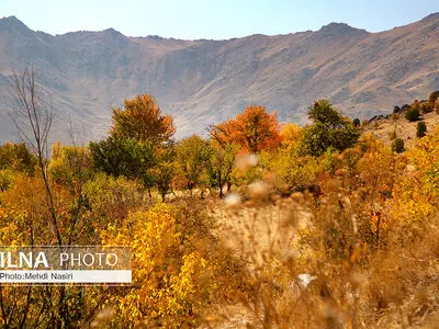 ویدئو/ طبیعت پاییزی روستای سرسختی علیا