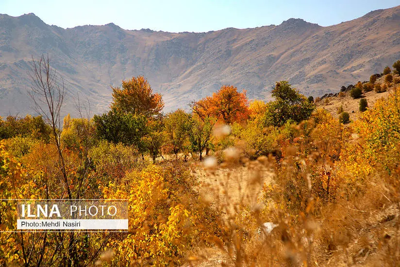  طبیعت پاییزی روستای سرسختی علیا