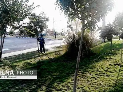 فضای سبز کرج دچار بی توجهی و عدم نظارت دقیق شده است