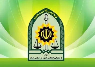 توضیح پلیس درباره بازداشت بازیگر معروف


