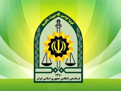 توضیح پلیس درباره بازداشت بازیگر معروف

