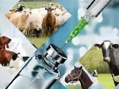 کاهش 34 درصدی کانون بیماری‌های دامی در استان مرکزی