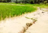 هشدار وزارت جهاد درباره وقوع سیلاب/ لزوم تمهیدات به موقع جهت انجام اقدامات پیشگیری
