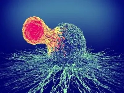 درمان سرطان بدون عوارض جانبی با روشی جدید