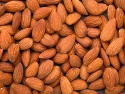 خواص و مضرات بادام تلخ