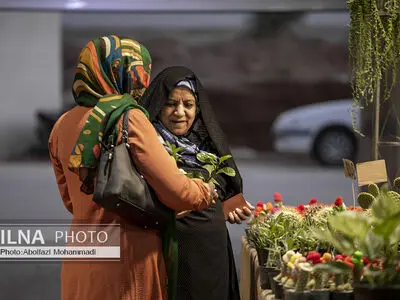 ۶ گیاه آپارتمانی عالی برای استفاده در اتاق خواب