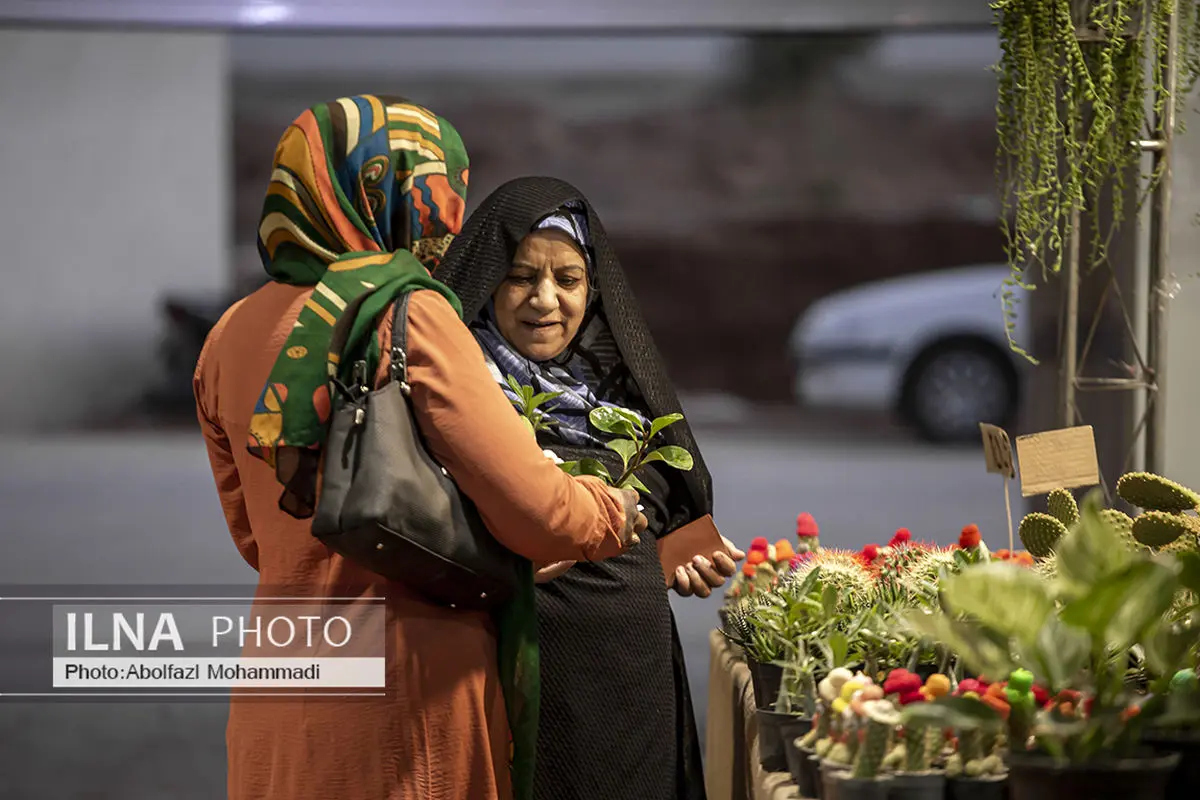 ۶ گیاه آپارتمانی عالی برای استفاده در اتاق خواب