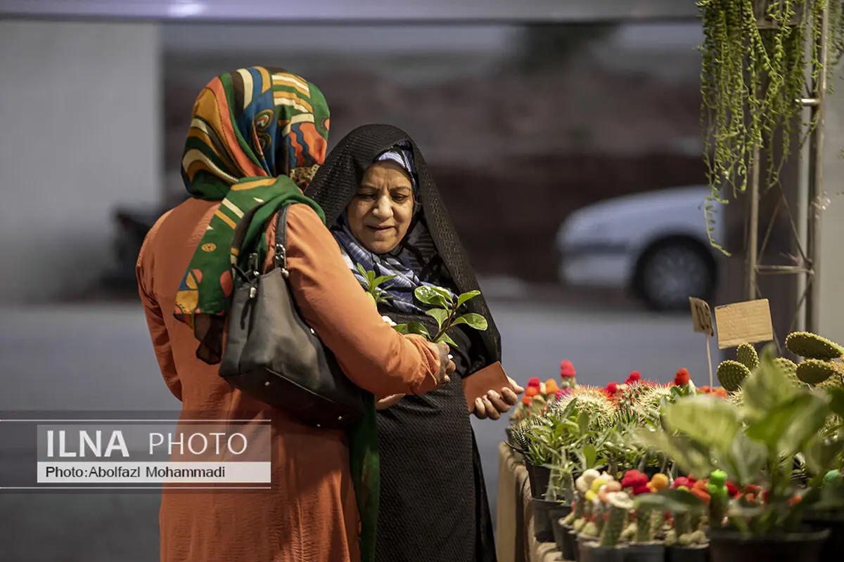 ۶ گیاه آپارتمانی عالی برای استفاده در اتاق خواب