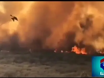شط «شیرین بهار اندیکا» در محاصره آتش + فیلم