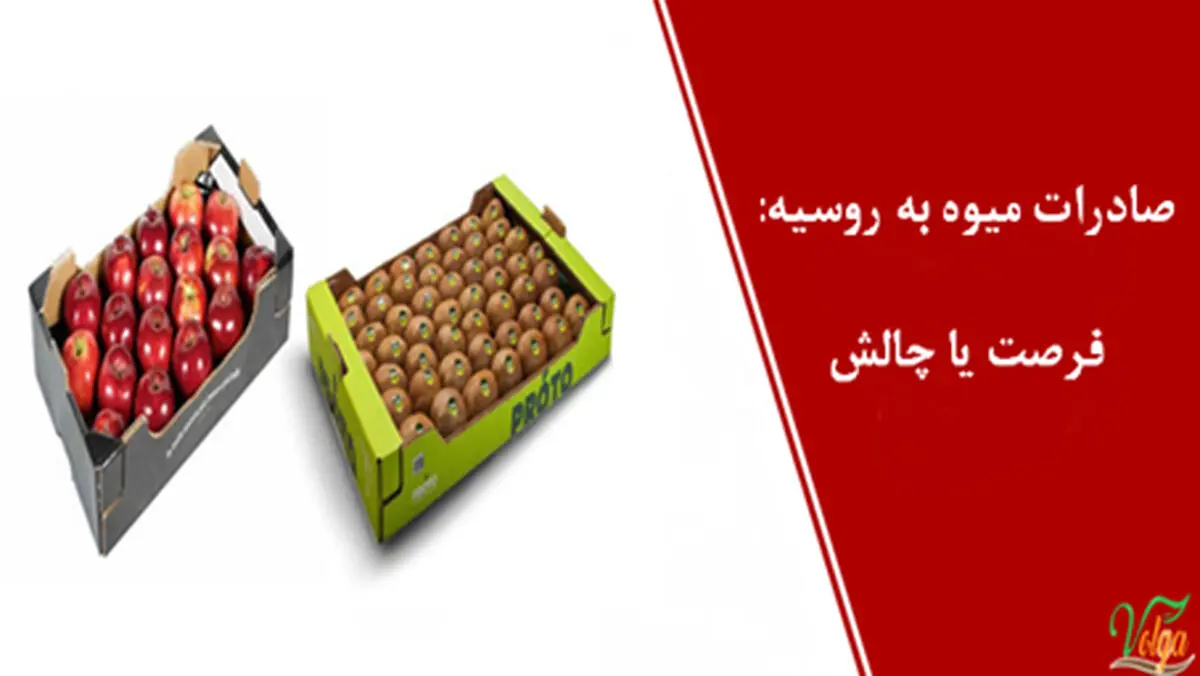 صادرات میوه به روسیه: فرصت یا چالش